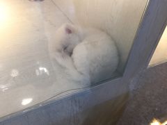 -乐宠宠物店(世纪金源店)