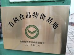 -大自然农场蔬菜草莓采摘园