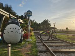 -野狸岛
