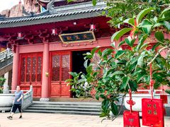 -上海东林寺(金山区)