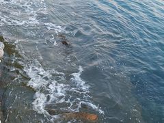 -黄金海岸环岛路