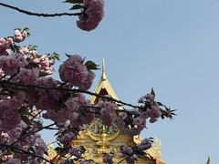 -洛阳白马寺