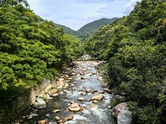 -海南热带雨林国家公园吊罗山景区