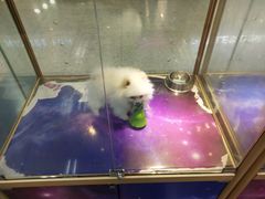 -乐宠宠物店(世纪金源店)