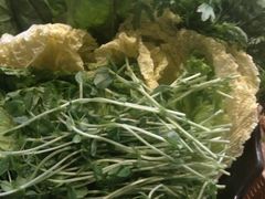 -手选潮汕鲜活牛肉火锅(二七广场店)