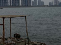 -碧海金沙