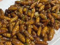 -天强农家菜馆