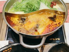 -呷哺呷哺(河间信发商厦店)