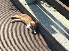 -苏州河梦清园环保主题公园