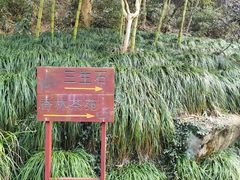 -杭州西湖风景名胜区-三生石