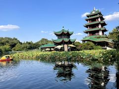 -桂湖森林公园