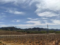 -北京张裕爱斐堡酒庄