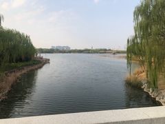 -大兴滨河森林公园