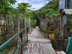 -南丫岛