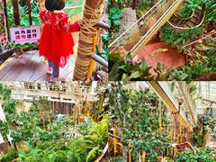 -正佳雨林生态植物园