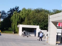 -天津图书馆(复康路馆)