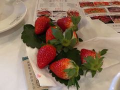 -胡桃里音乐酒馆(下沙店)