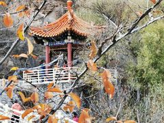 -百里山水画廊乌龙峡谷
