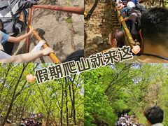 -吉林市朱雀山国家森林公园