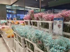 -盒马X会员店(上海森兰商都店)