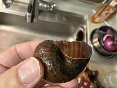 -八0一首创霍老七老螺蛳(万东镇龙景园店)