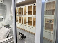-爱洗澡的猫(天河路店)