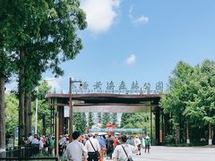 -黄海国家森林公园