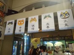 -猫咪博物馆(顶澳仔猫街店)