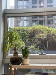 点击看大图 -初心はつ こころ日式美甲美睫沙龙