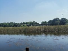 -梁鸿国家湿地公园