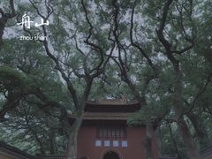 -法雨寺
