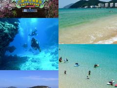 -亚龙湾热带天堂森林公园