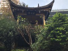 -泸州老窖景区