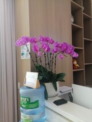 -韩辰医疗美容医院