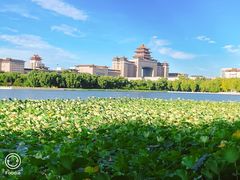 -莲花池公园
