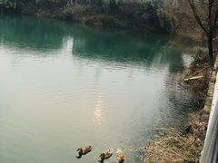 -帐篷客·溪龙茶谷度假酒店