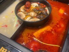 -老牌坊云南鱼豆花火锅(爱建店)
