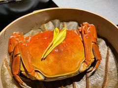 大闸蟹-逸道(益丰·外滩源店)