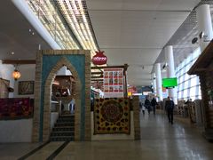 -谢列梅捷沃国际机场