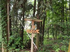 -象山森林公园