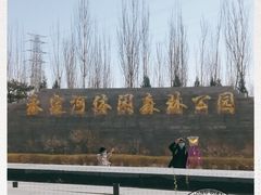 -永定河休闲森林公园