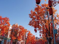 -沈阳方特欢乐世界