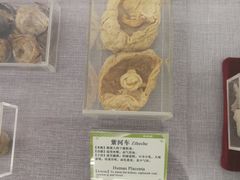 -北京中医药大学-中医药博物馆