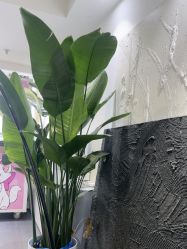 -春田皮肤管理中心品牌旗舰店