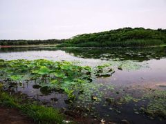 -丁香湖公园
