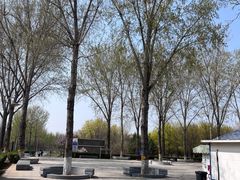 -东升八家郊野公园