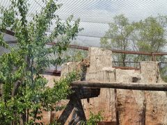 -沈阳森林动物园