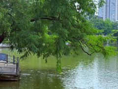 -柳侯公园