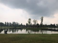 -白鹭湾湿地公园