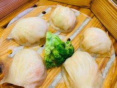 宝园虾饺皇-宝园酒家(美林M·LIVE天地东座店)